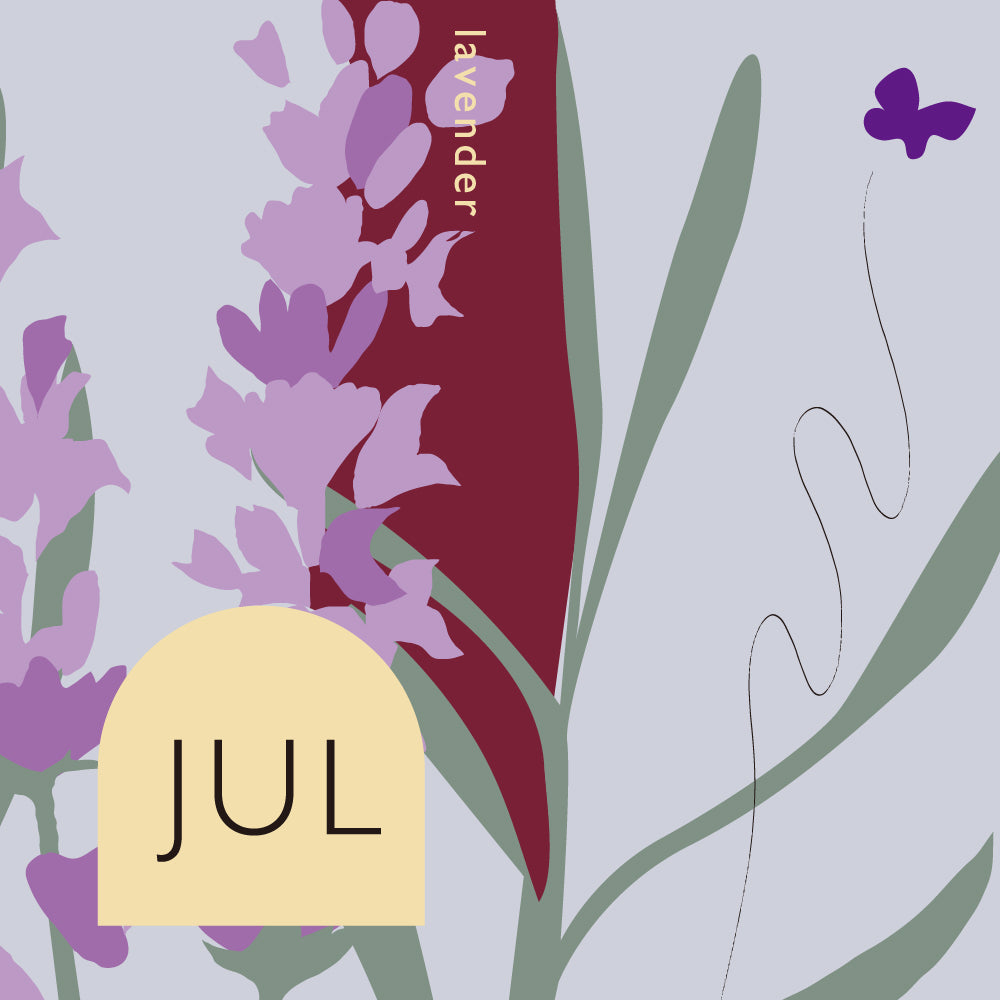 DSM-07 lavender ラベンダー