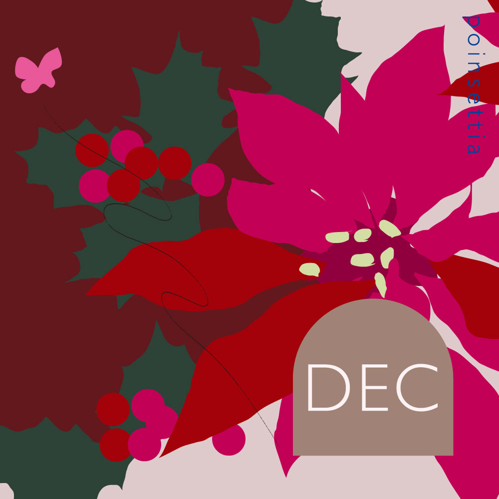 DSM-12 poinsettia ポインセチア