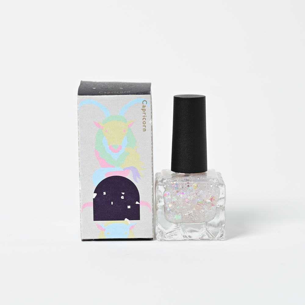 SN-01 Caprirorn カプリコーン