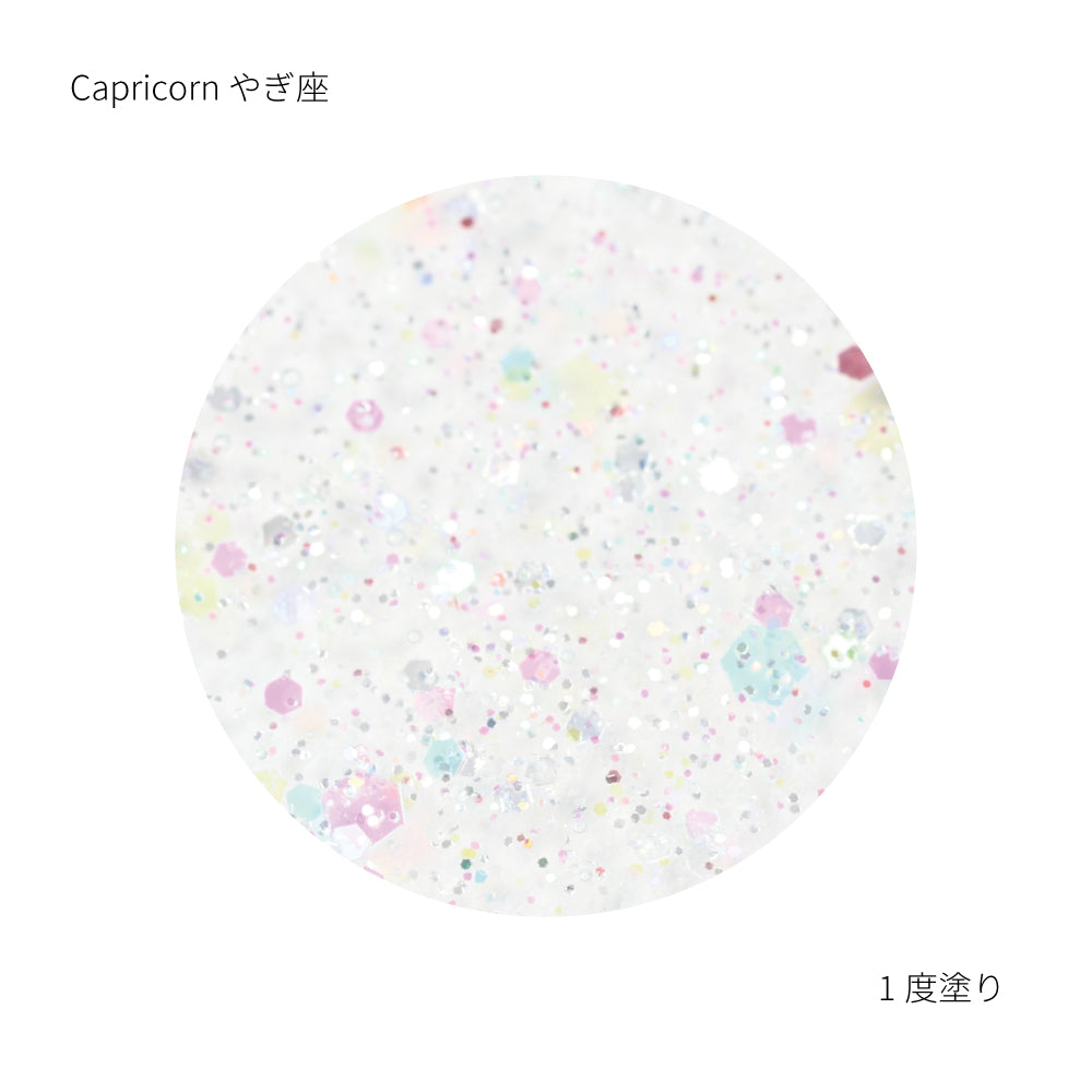 SN-01 Caprirorn カプリコーン