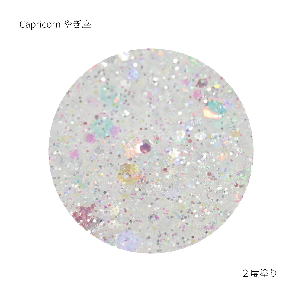 SN-01 Caprirorn カプリコーン