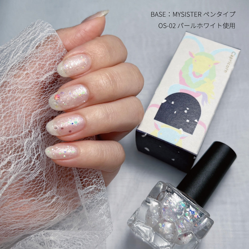 SN-01 Caprirorn カプリコーン