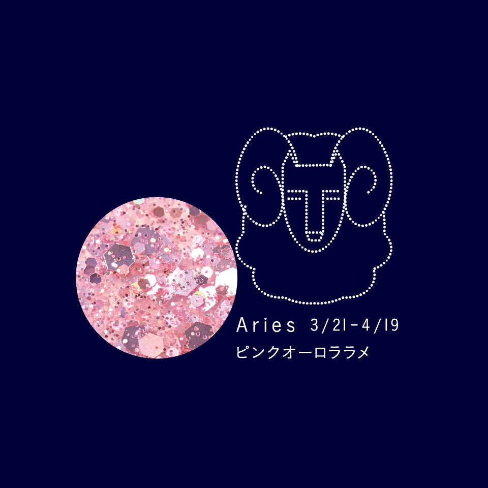 SN-04 Aries アリエス