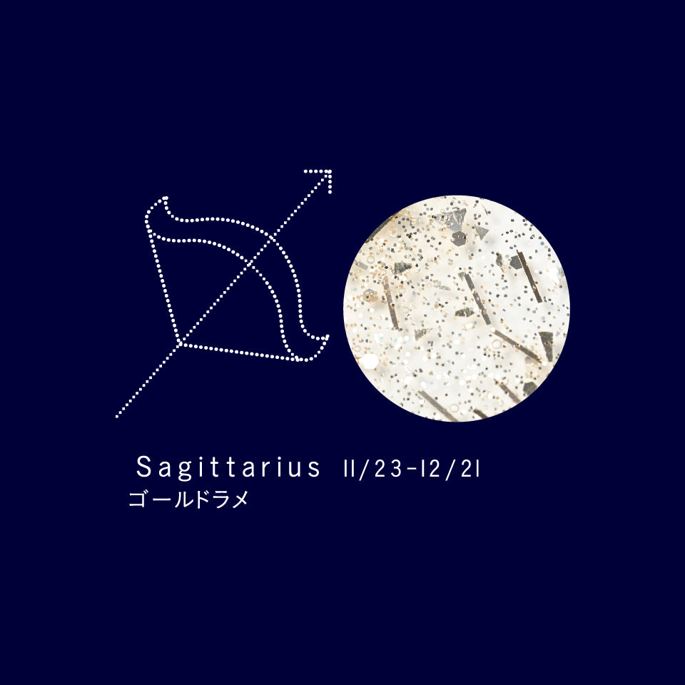 SN-12 Sagittarius サジタリアス