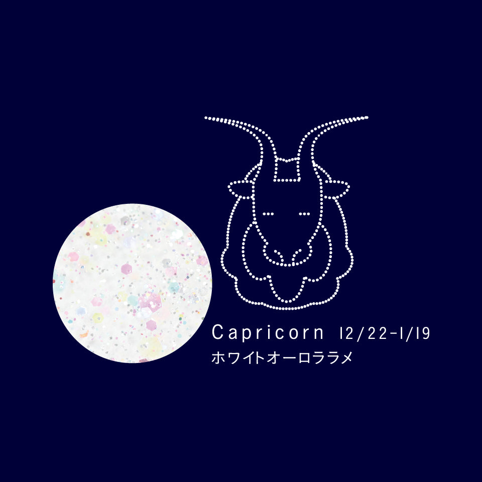 SN-01 Caprirorn カプリコーン