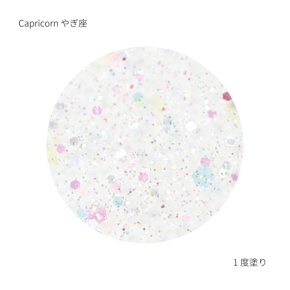 SN-01　Caprirorn　カプリコーン